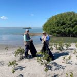 Refuerzan conciencia ambiental con limpieza de playas y humedales de Tamaulipas